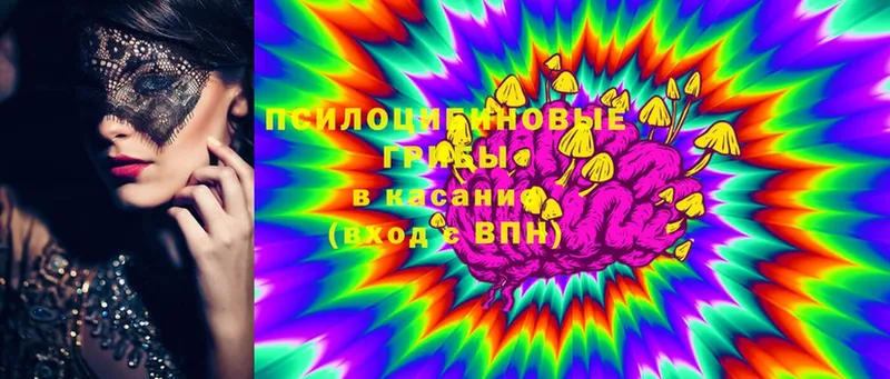 Галлюциногенные грибы Magic Shrooms  Богданович 